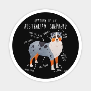 Aussie Australian Shepherd Anatomy Magnet